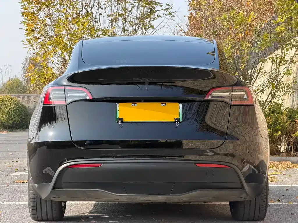 Tesla Model Y — фото 4