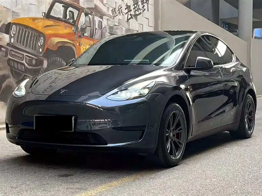 Tesla Model Y — фото 1