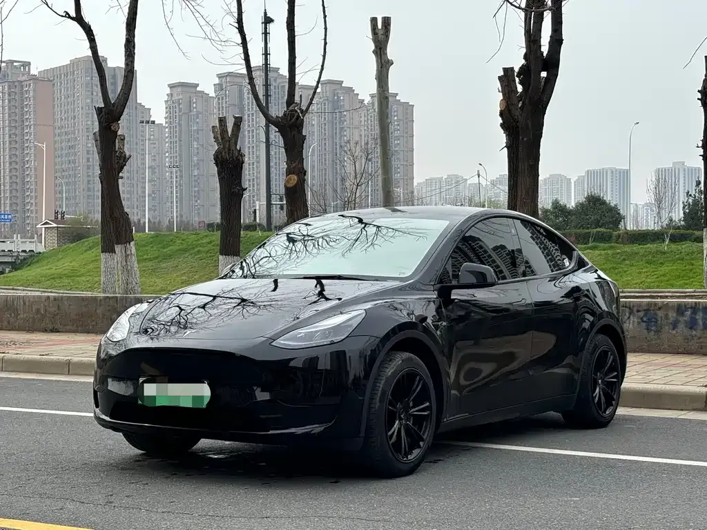 Tesla Model Y — фото 1