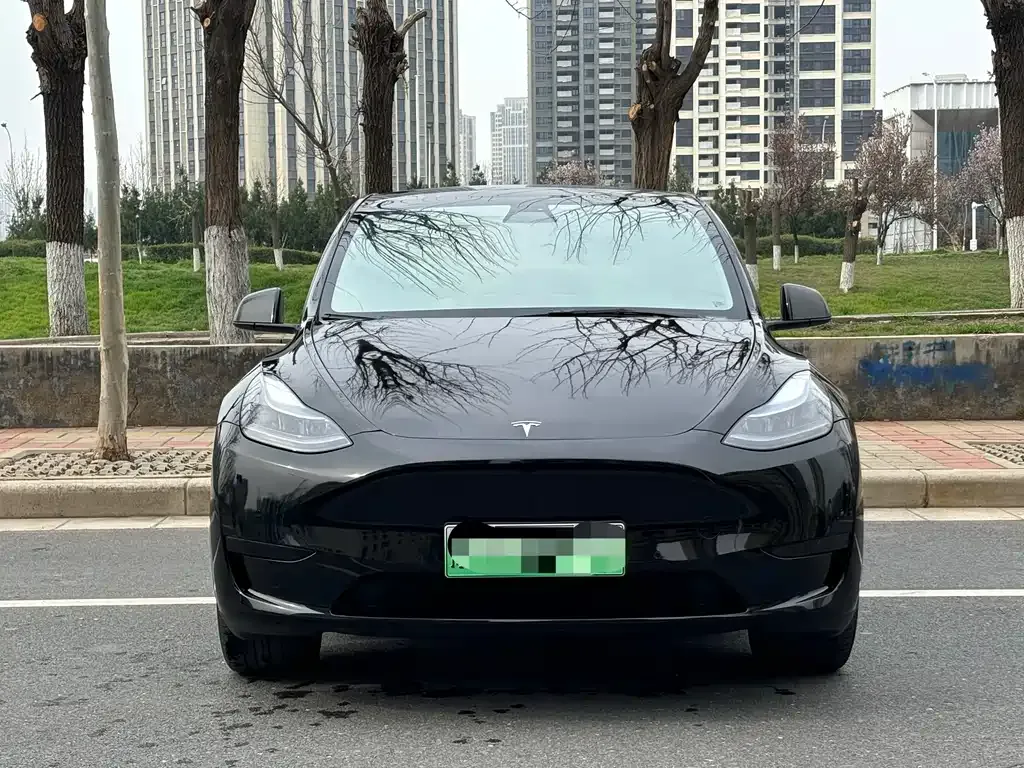 Tesla Model Y — фото 10