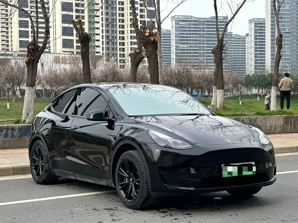 Tesla Model Y — фото 9