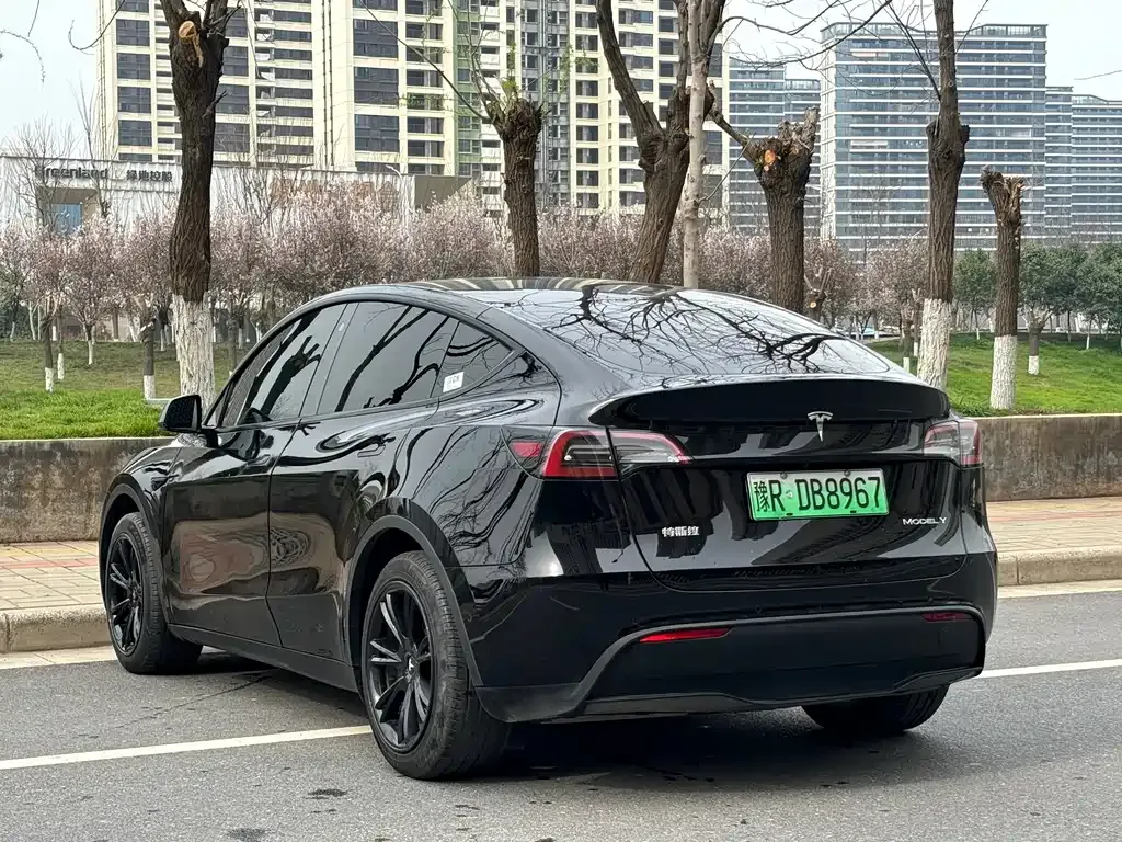 Tesla Model Y — фото 6