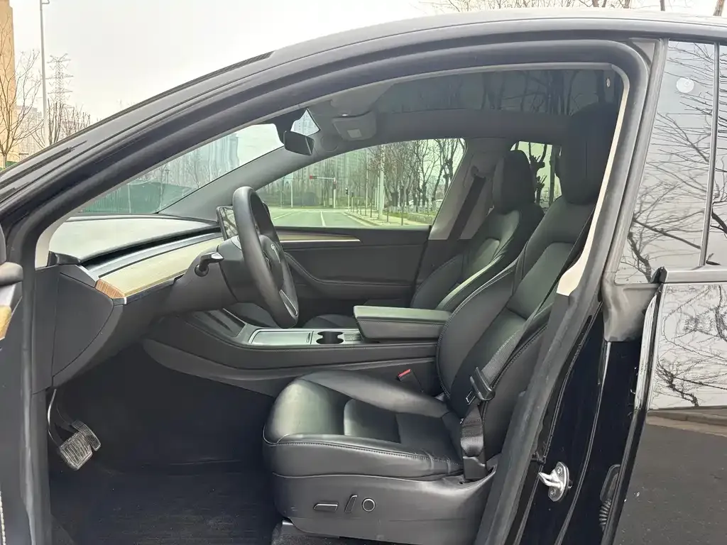 Tesla Model Y — фото 2