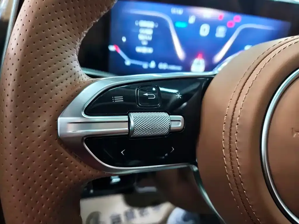 Hongqi H9 2025 из CN, фото 8