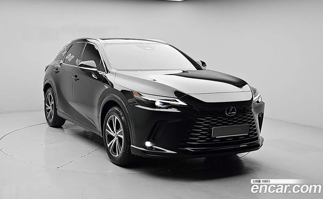 Lexus RX 2025 из KR, фото 6