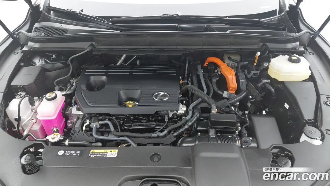 Lexus RX 2025 из KR, фото 7