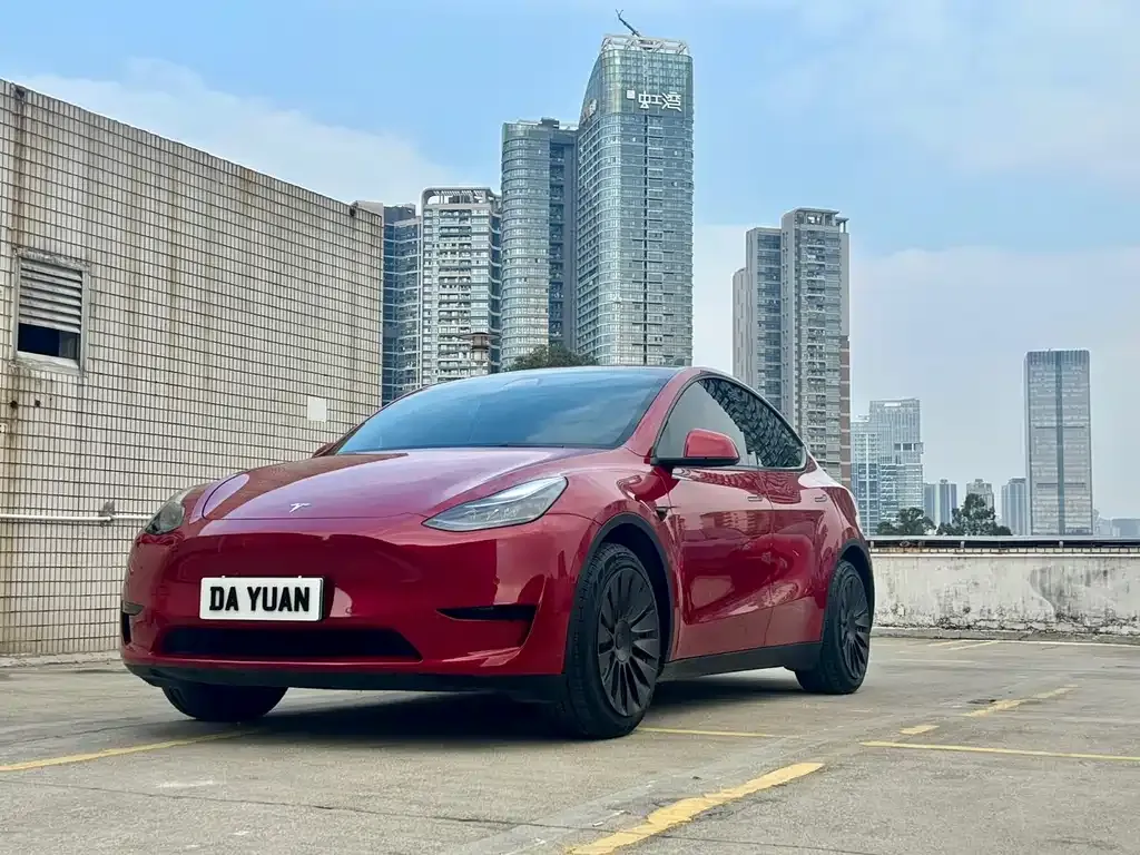 Tesla Model Y 2023 из CN, фото 1