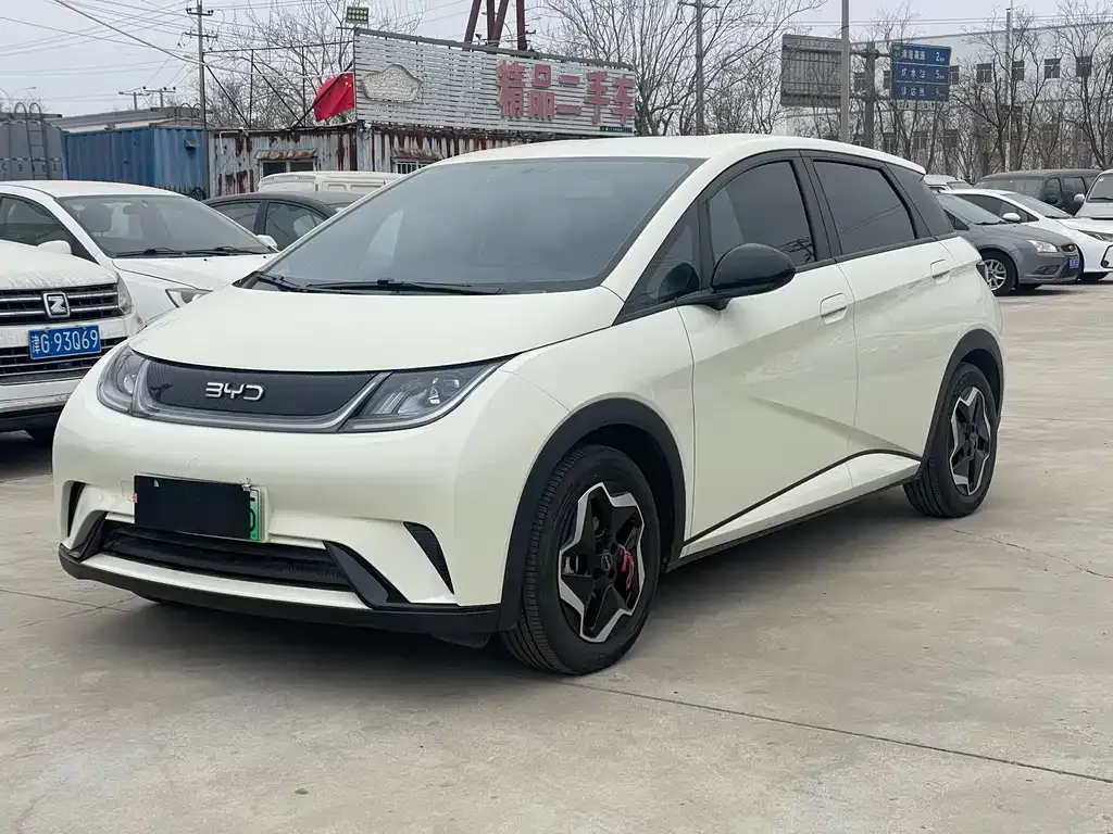 BYD Dolphin 2025 из CN, фото 1