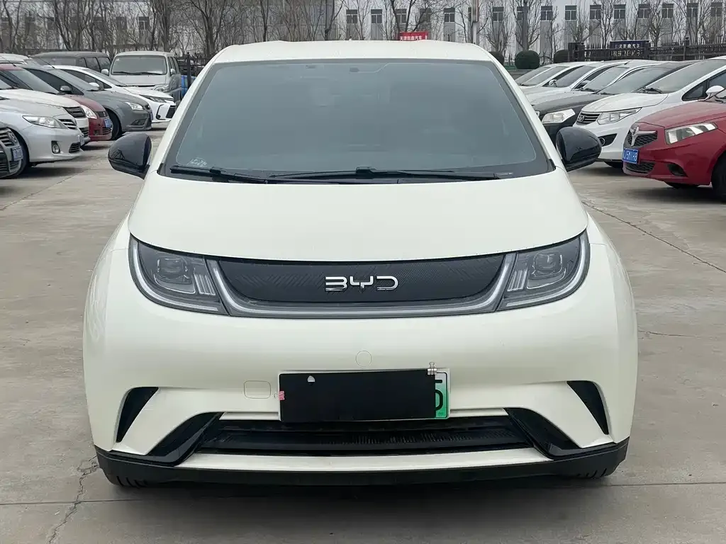 BYD Dolphin 2025 из CN, фото 9