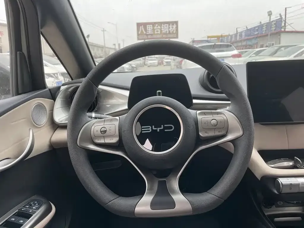 BYD Dolphin 2025 из CN, фото 2