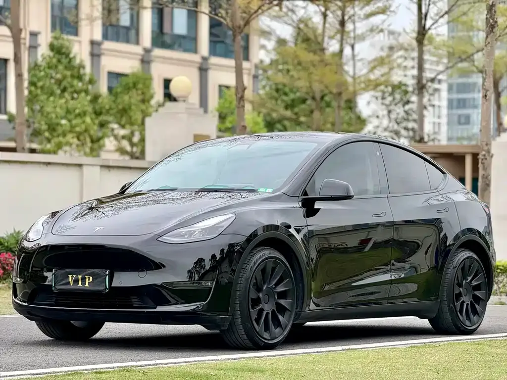 Tesla Model Y — фото 1
