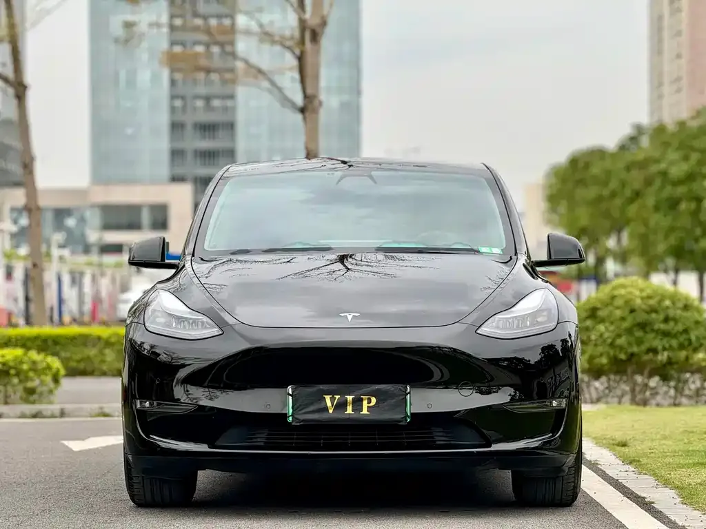 Tesla Model Y — фото 10