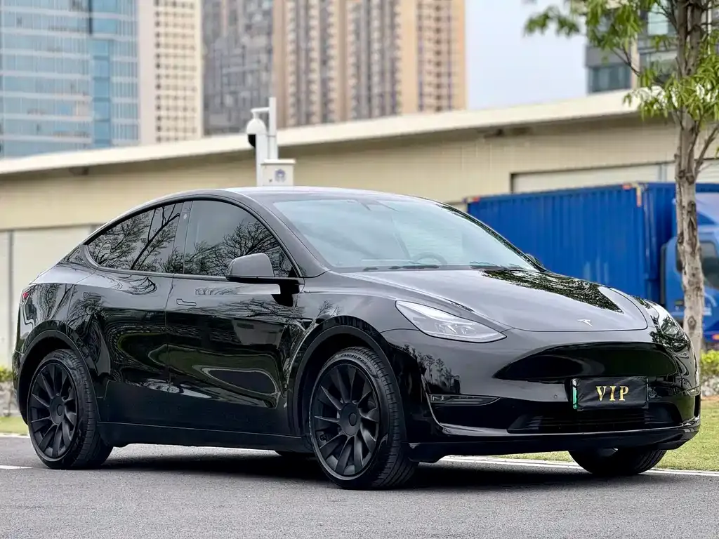Tesla Model Y — фото 9