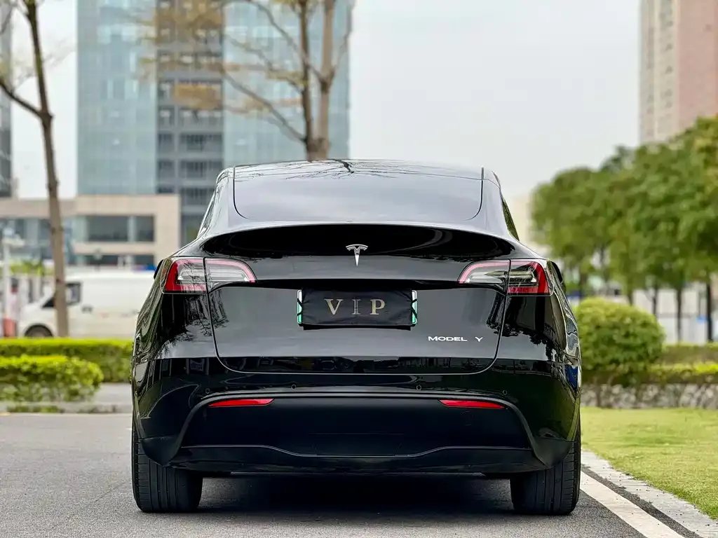Tesla Model Y — фото 8