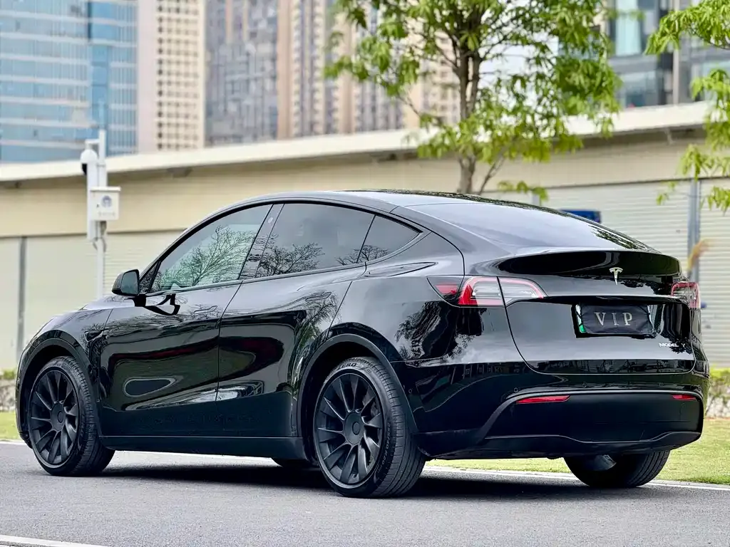 Tesla Model Y — фото 2