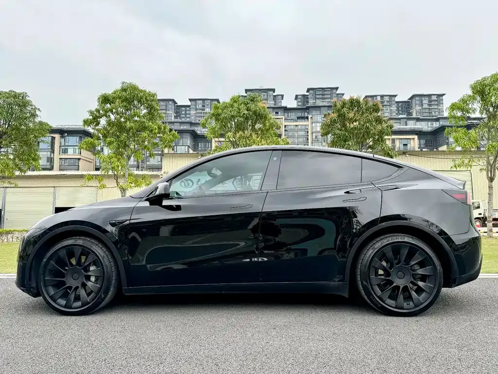 Tesla Model Y — фото 6
