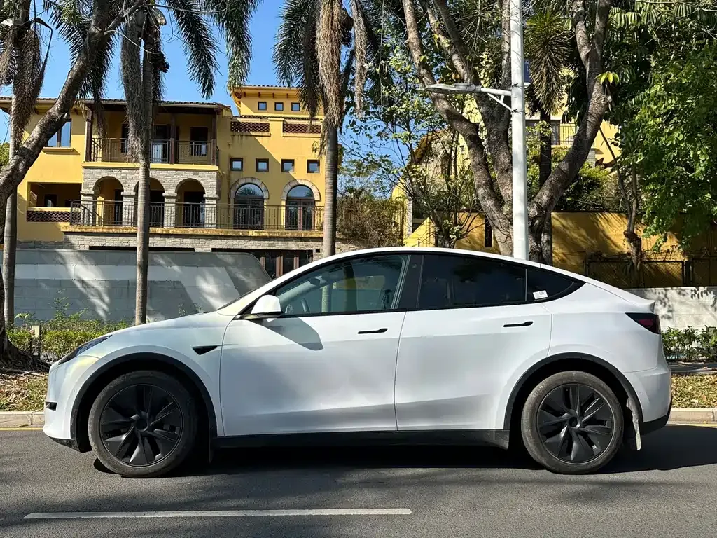 Tesla Model Y 2024 из CN, фото 8