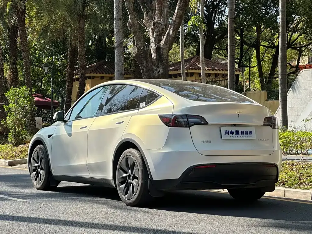 Tesla Model Y 2024 из CN, фото 4
