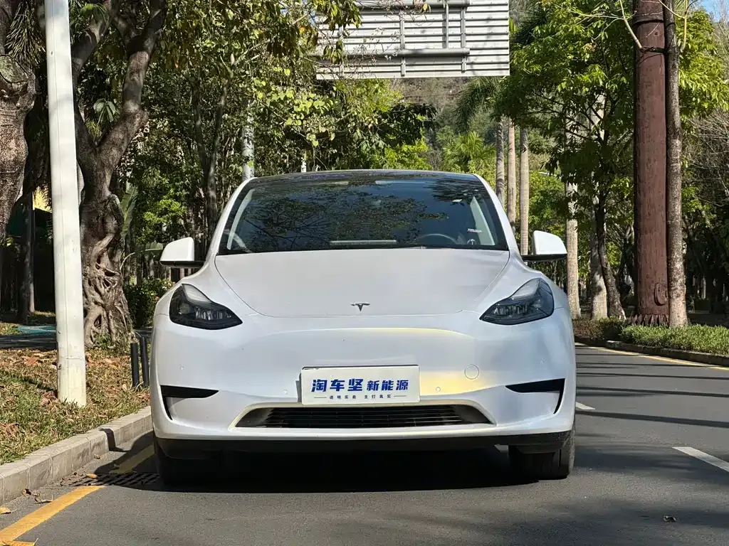 Tesla Model Y 2024 из CN, фото 5