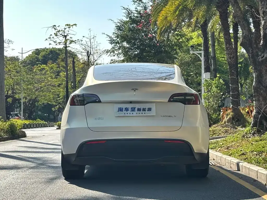 Tesla Model Y 2024 из CN, фото 2