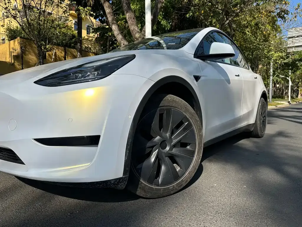 Tesla Model Y 2024 из CN, фото 10