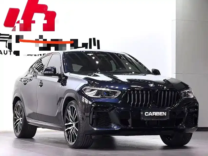 BMW X6 — фото 10