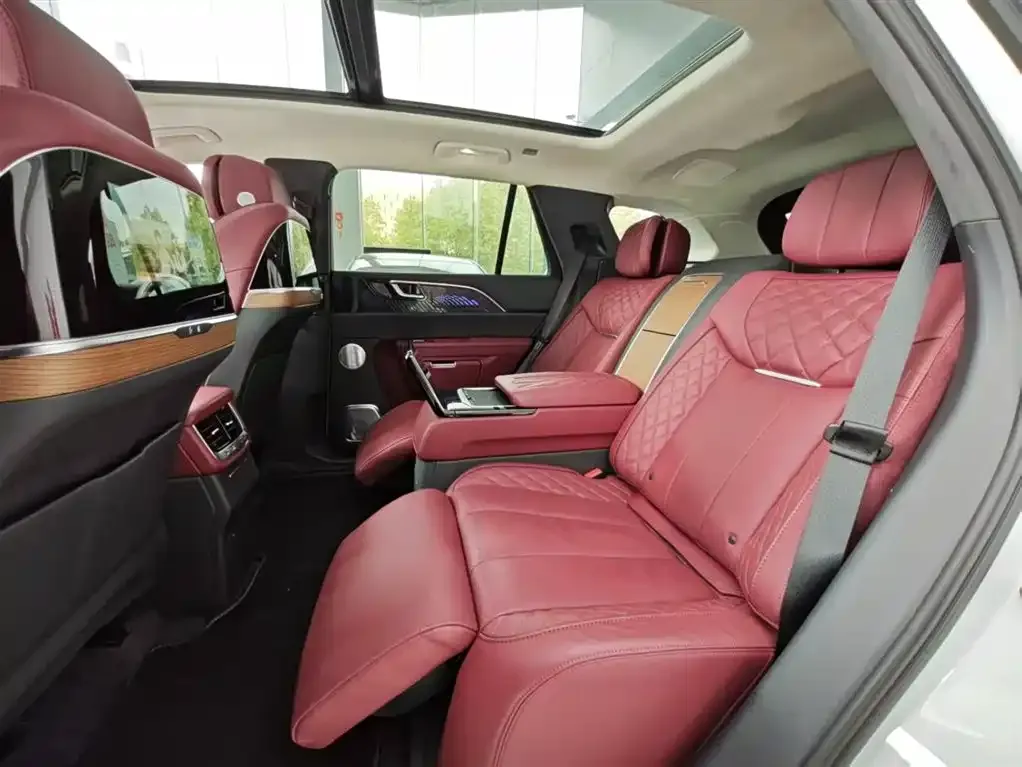 Hongqi E-HS9 2023 из CN, фото 2