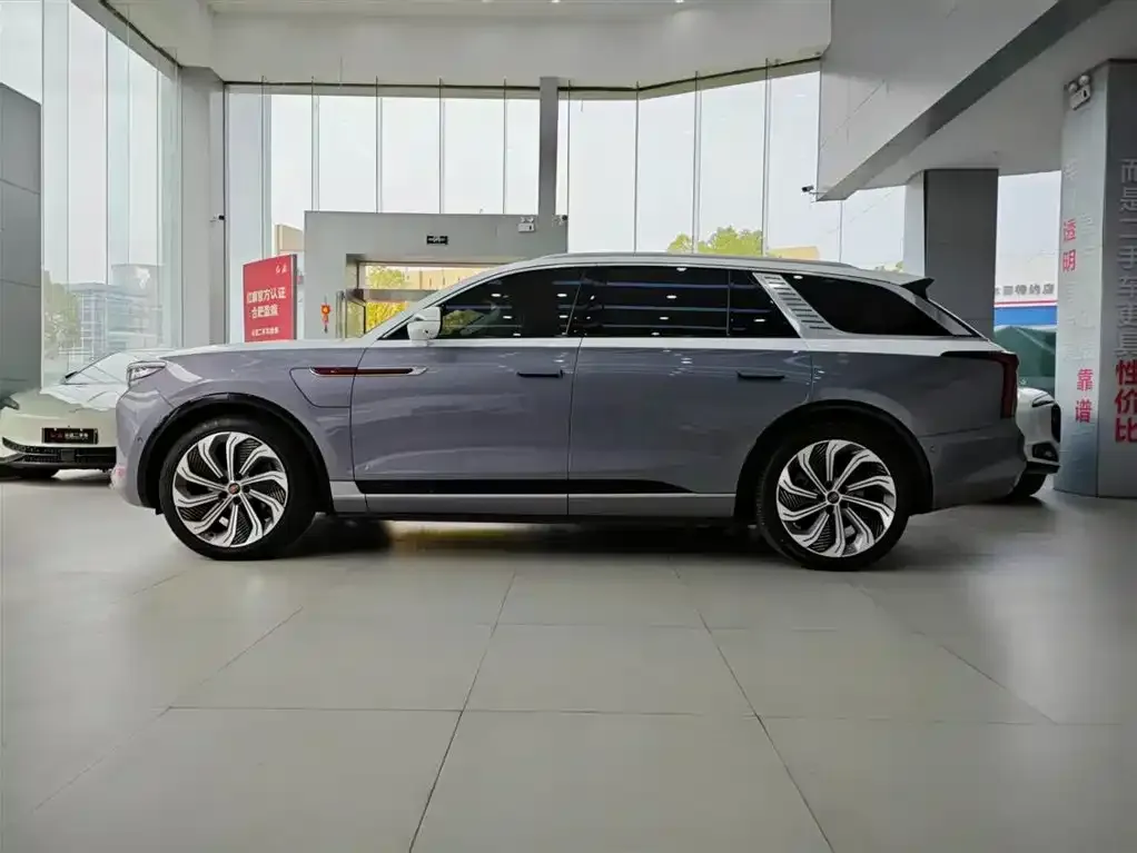 Hongqi E-HS9 2023 из CN, фото 6