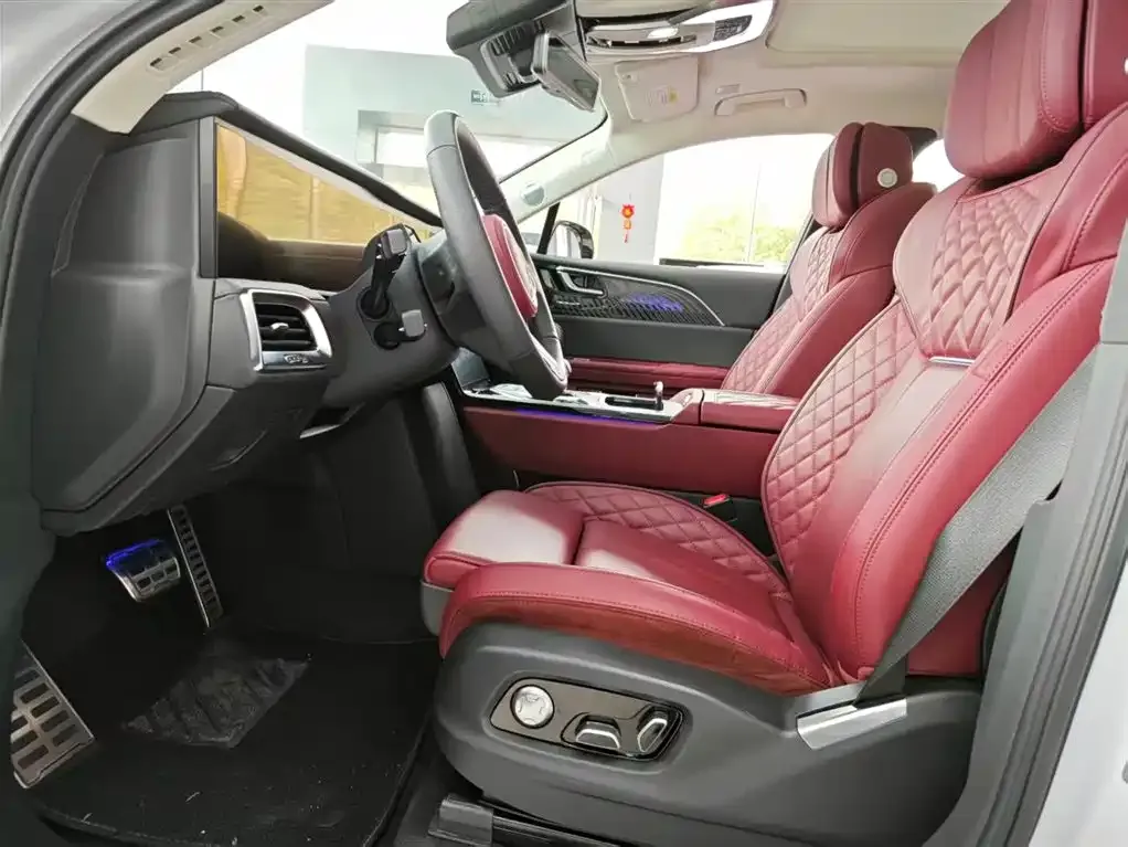 Hongqi E-HS9 2023 из CN, фото 4