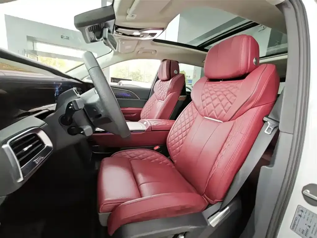 Hongqi E-HS9 2023 из CN, фото 7
