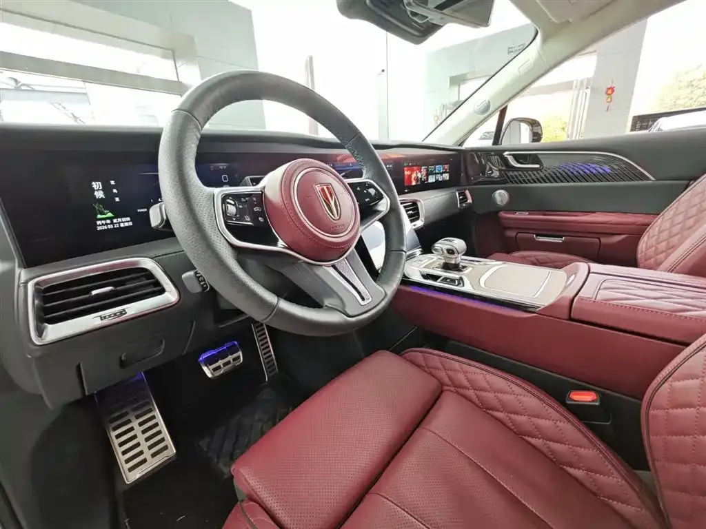 Hongqi E-HS9 2023 из CN, фото 3