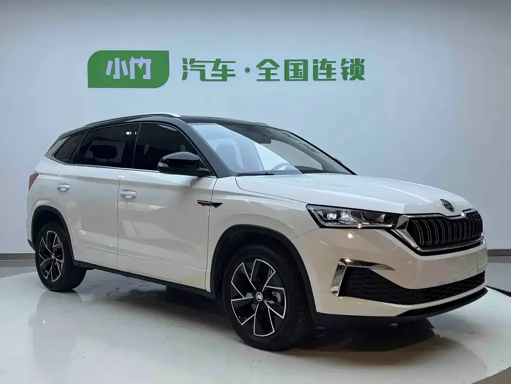 Skoda Kamiq 2023 из CN, фото 7