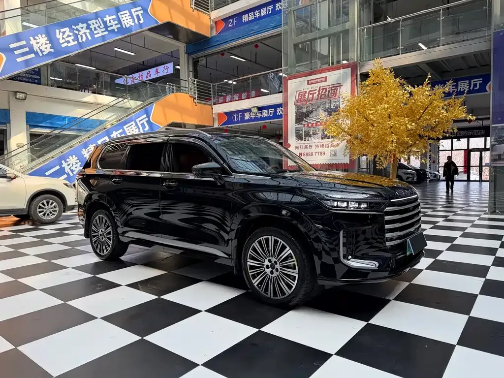 Exeed Xingtu Lanyue C-DM 2025 из CN, фото 7