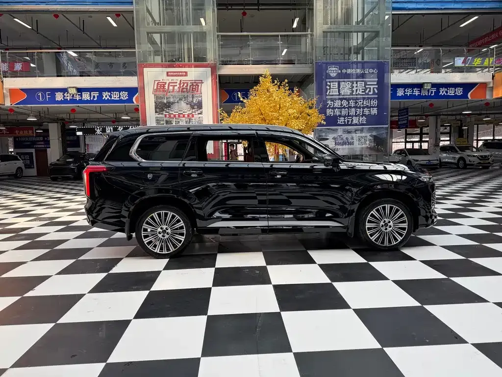 Exeed Xingtu Lanyue C-DM 2025 из CN, фото 10