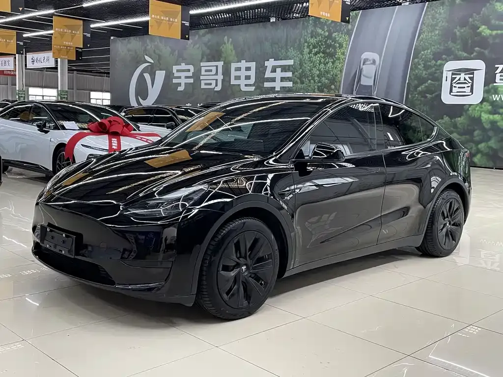 Tesla Model Y 2022 из CN, фото 1