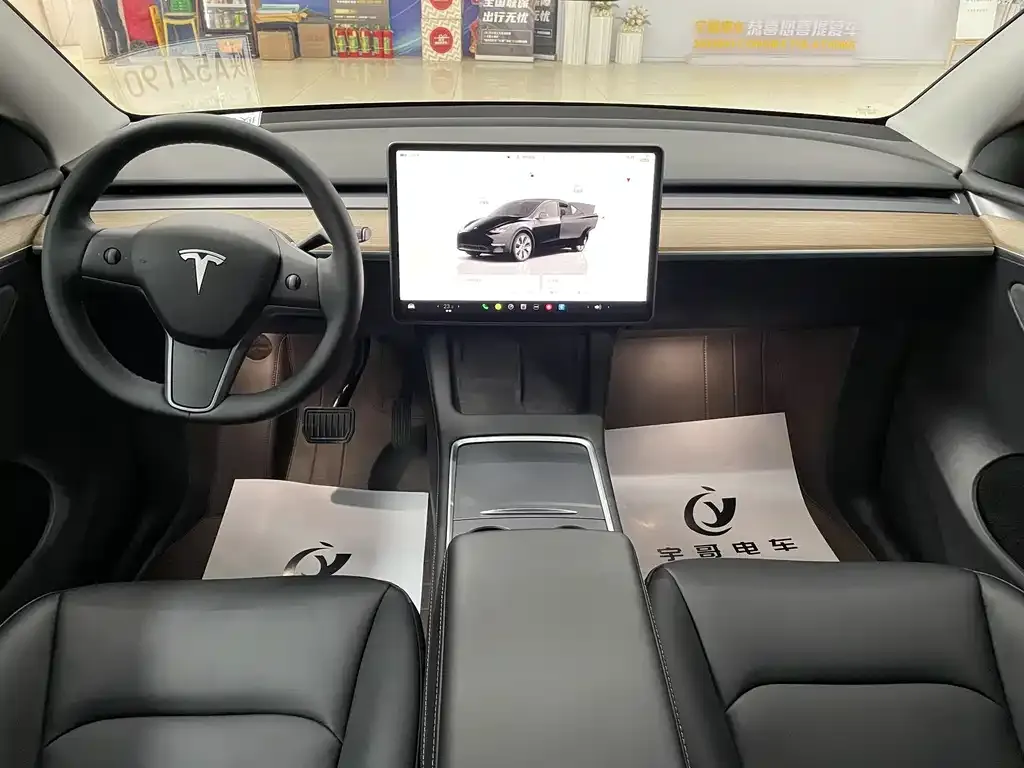 Tesla Model Y 2022 из CN, фото 3