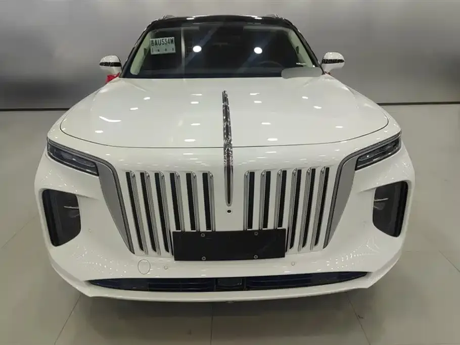 Hongqi E-HS9 2025 из CN, фото 9