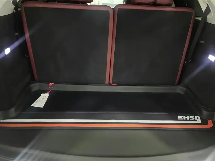 Hongqi E-HS9 2025 из CN, фото 3