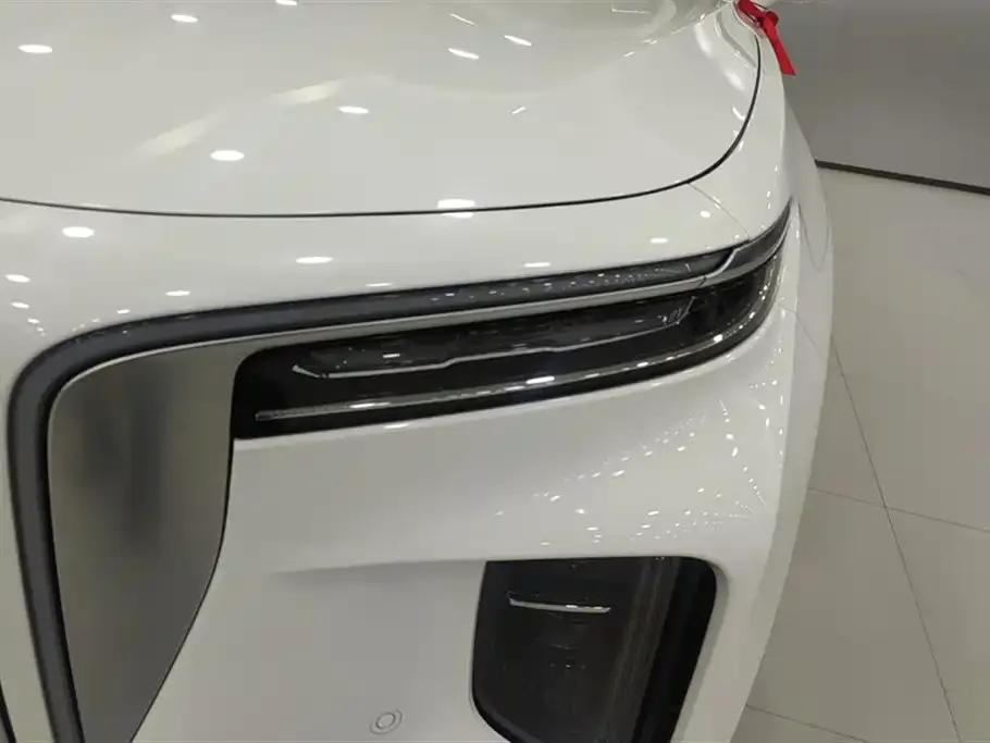 Hongqi E-HS9 2025 из CN, фото 4