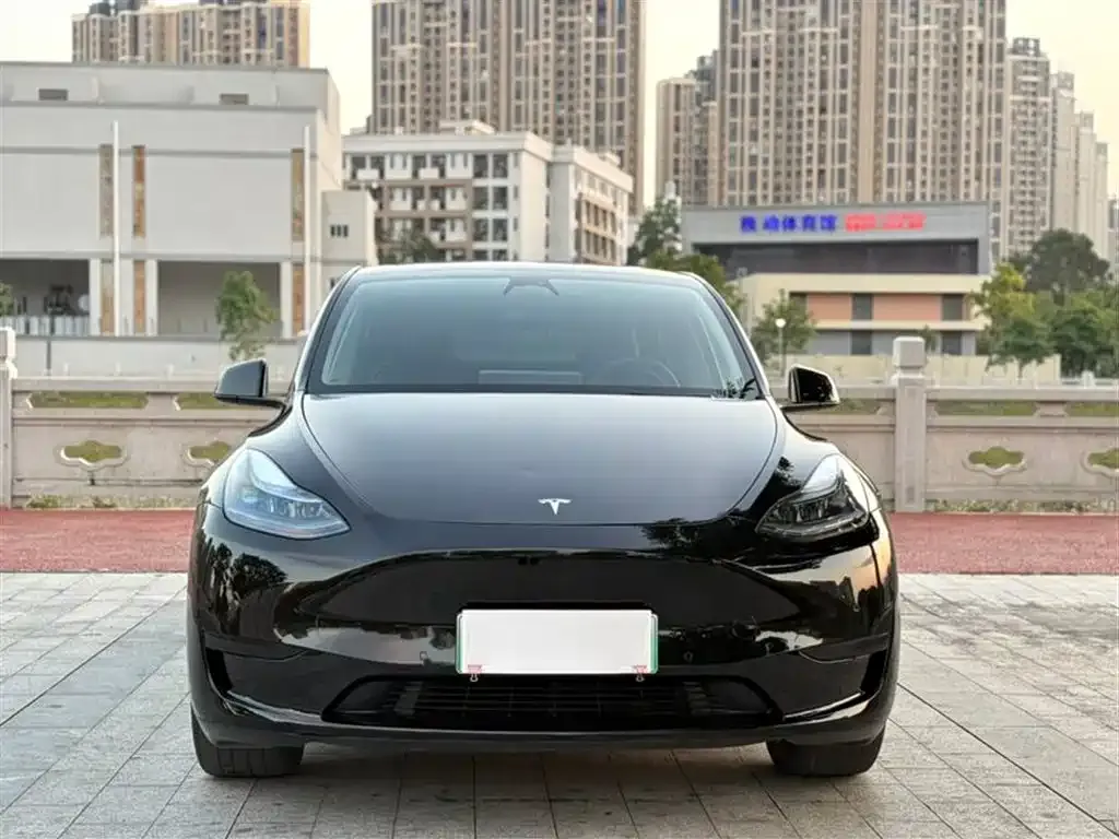 Tesla Model Y — фото 2