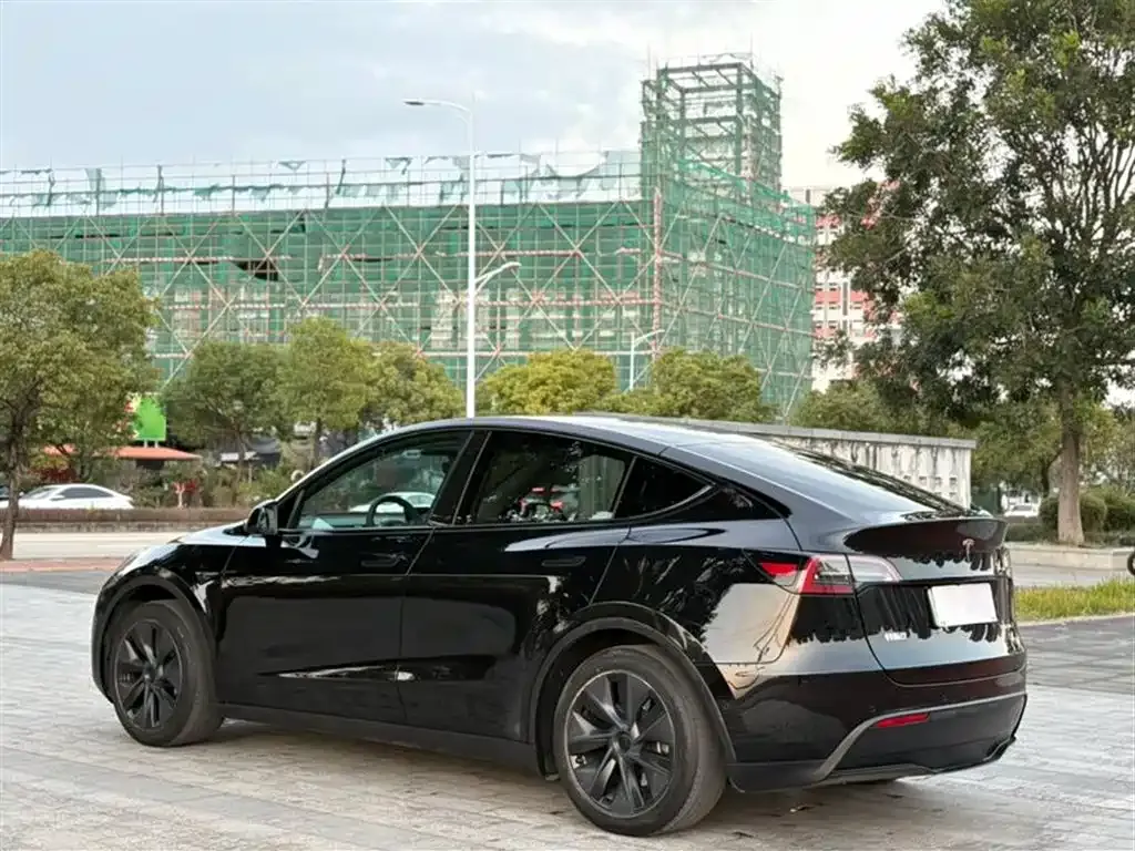 Tesla Model Y — фото 8
