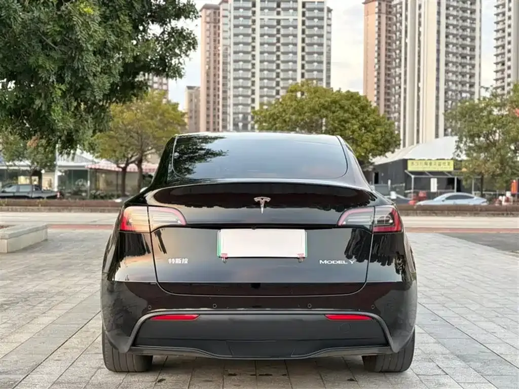 Tesla Model Y — фото 7