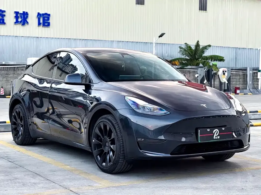 Tesla Model Y — фото 3