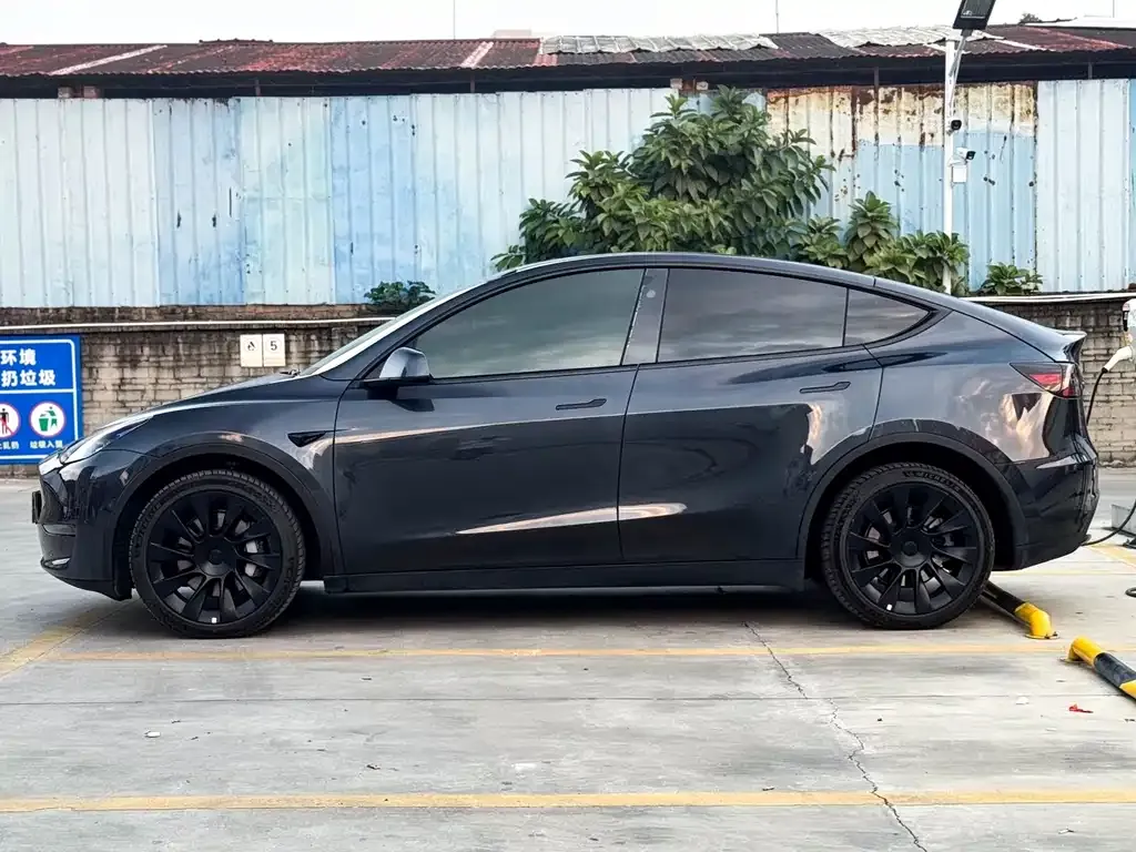 Tesla Model Y — фото 5