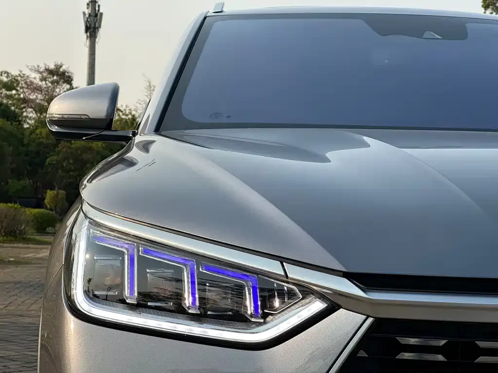 BYD PLUS 2021 из CN, фото 2