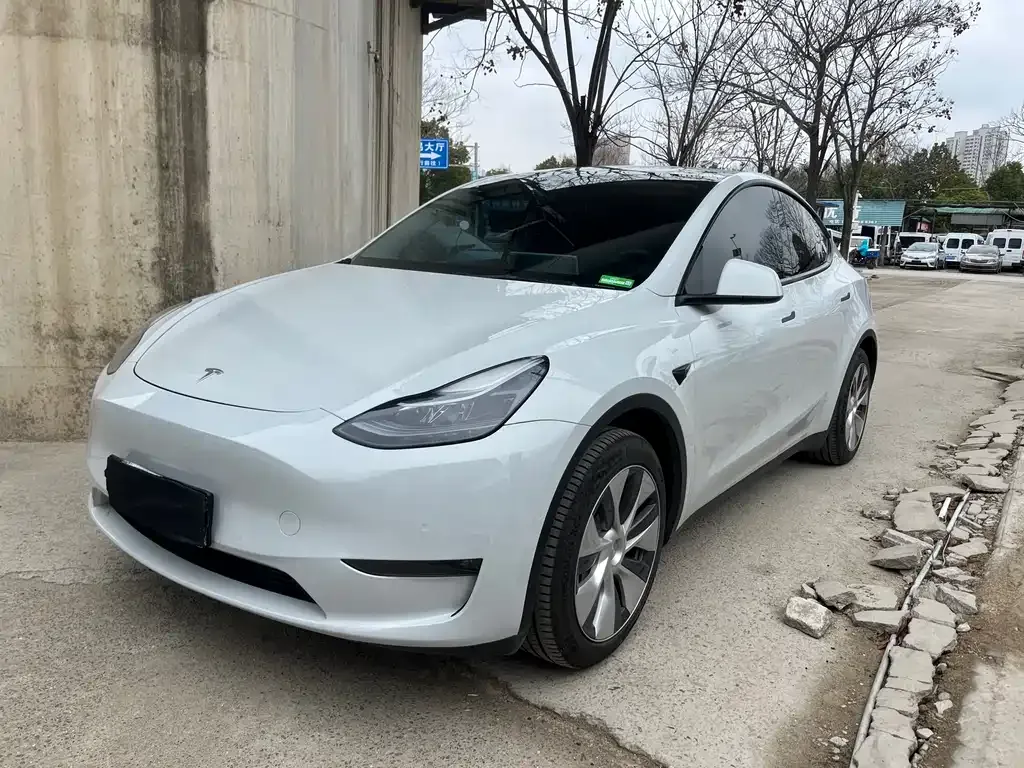 Tesla Model Y 2023 из CN, фото 1