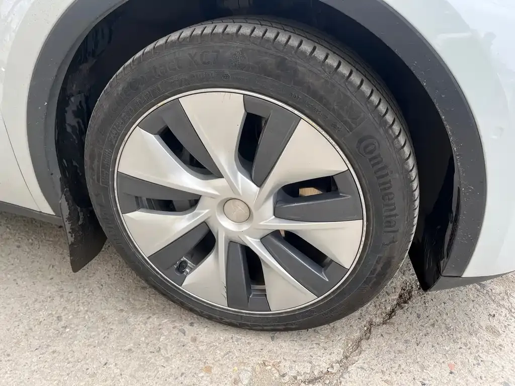 Tesla Model Y 2023 из CN, фото 9