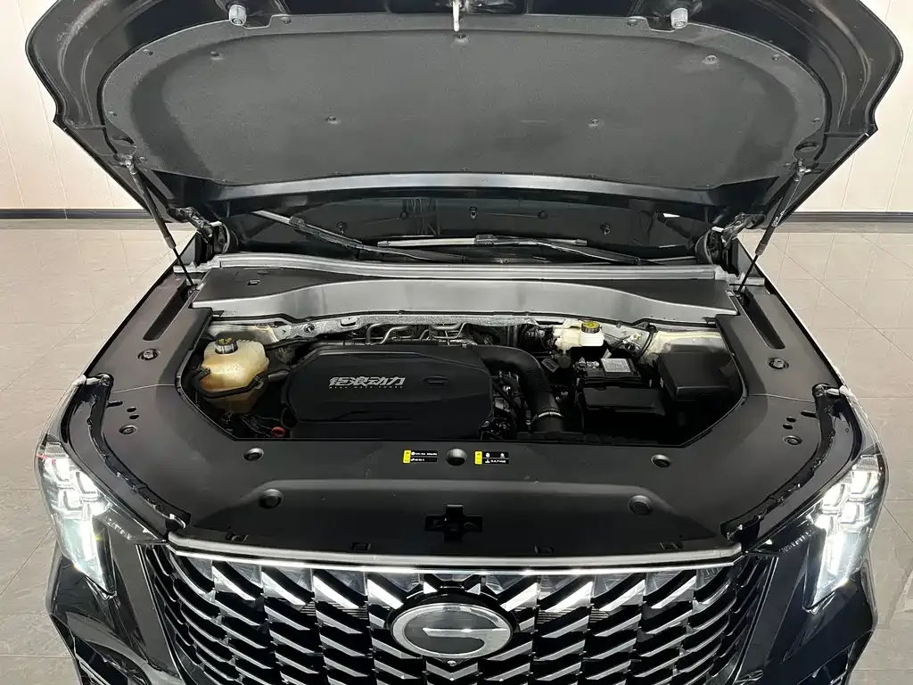 GAC Motor Trumpchi GS8 — фото 5