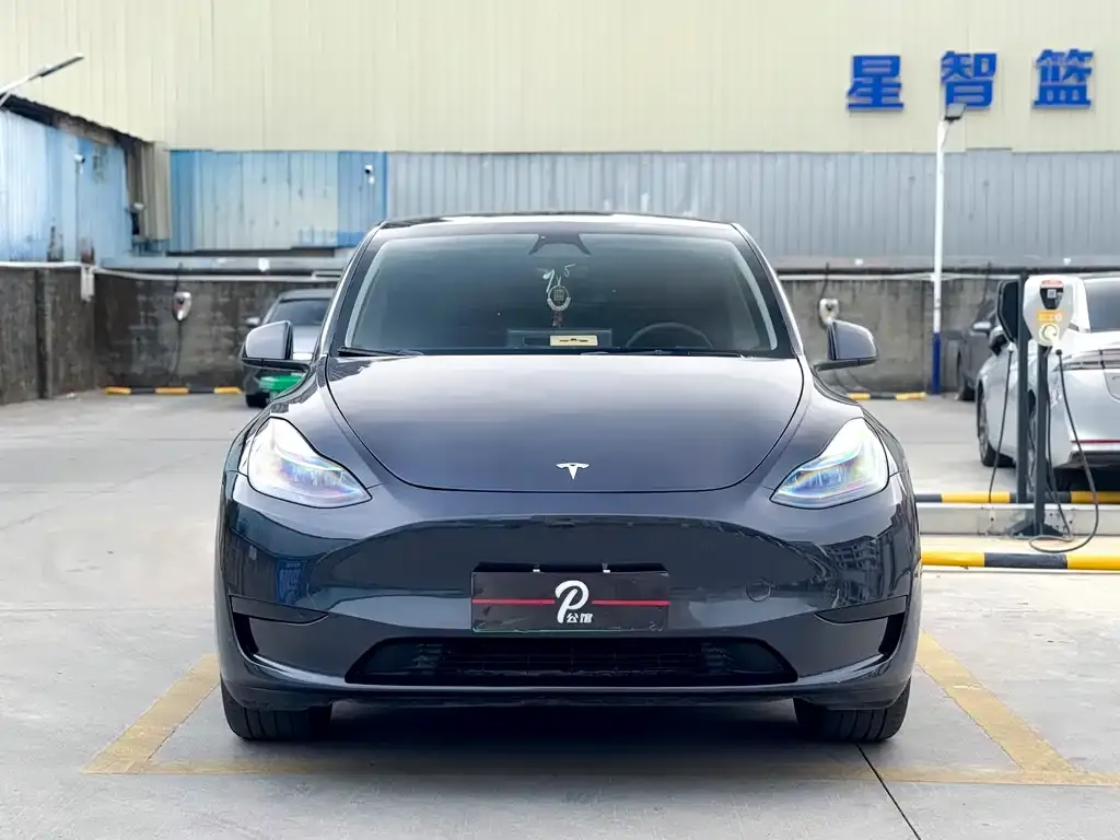 Tesla Model Y — фото 5