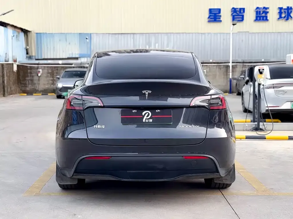Tesla Model Y — фото 9